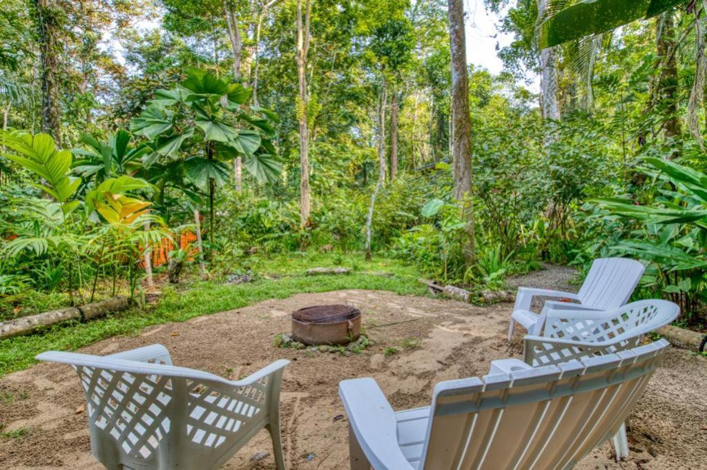 Pachamama Jungle River - Punta Uva Maison d'hôtes Puerto Viejo de Talamanca