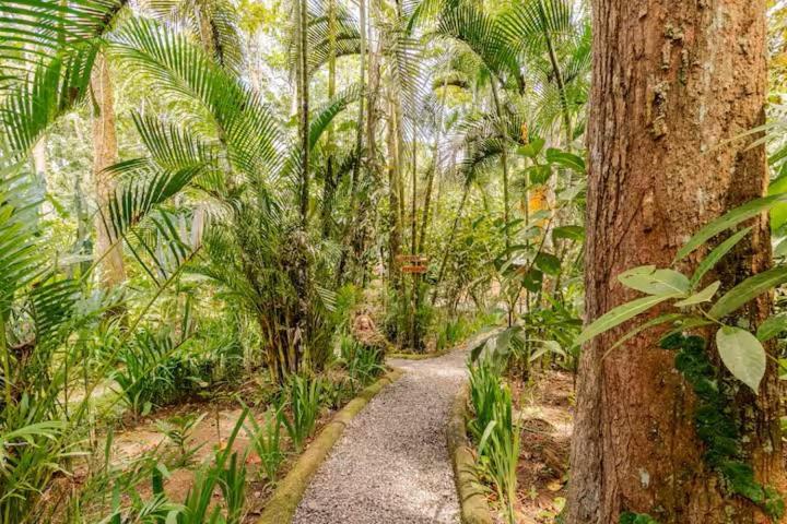 Gasthuis Pachamama Jungle River - Punta Uva Puerto Viejo de Talamanca