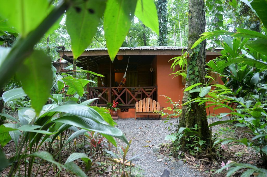 Pachamama Jungle River - Punta Uva Maison d'hôtes Puerto Viejo de Talamanca