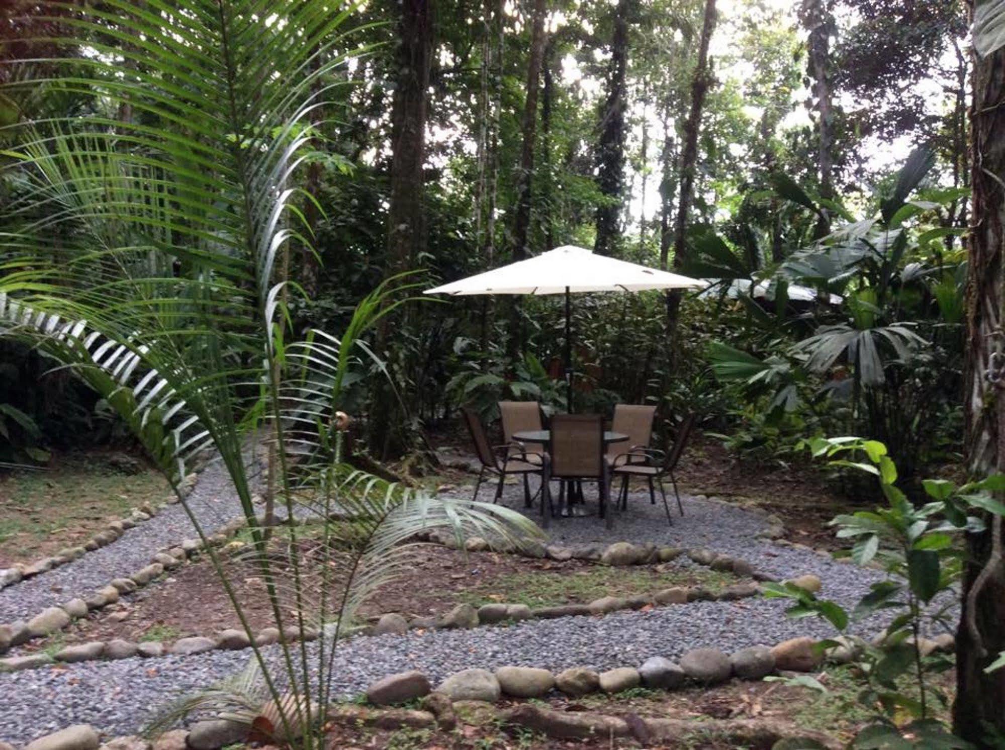 Maison d'hôtes Pachamama Jungle River - Punta Uva