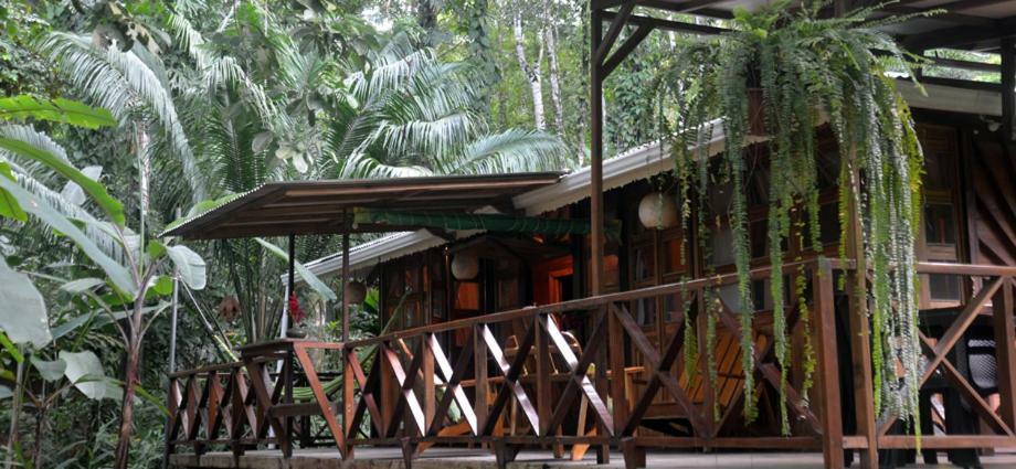 Maison d'hôtes Pachamama Jungle River - Punta Uva Puerto Viejo de Talamanca